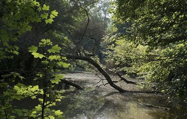 Pfannwaldsee | © Land der 1000 Hügel - Kraichgau-Stromberg
