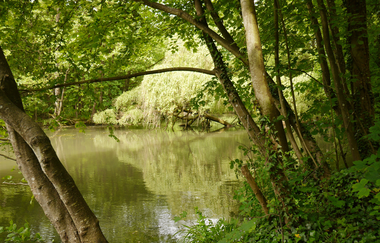 Pfannwaldsee | © Stadtverwaltung Kraichtal