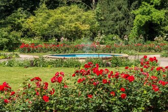 Pfühlpark