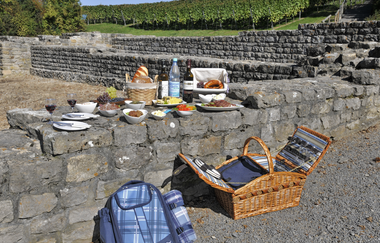 Picknick am Römischen Gutshof | Lauffen am Neckar | HeilbronnerLand | © Touristikgemeinschaft HeilbronnerLand e.V.