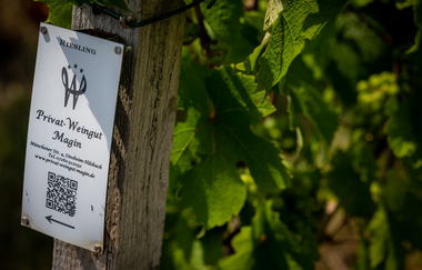Privat-Weingut Magin | © gesenden von Herr Wolfgang Magin zur Verwednung