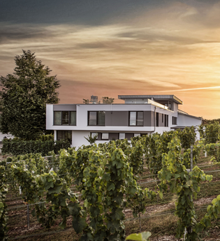 Weingut Eberbach-Schäfer | Lauffen am Neckar | HeilbronnerLand | © Weingut Eberbach-Schäfer
