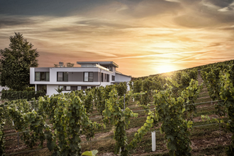Weingut Eberbach-Schäfer | Lauffen am Neckar | HeilbronnerLand | © Weingut Eberbach-Schäfer