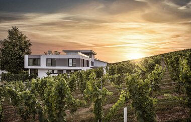 Weingut Eberbach-Schäfer | Lauffen am Neckar | HeilbronnerLand | © Weingut Eberbach-Schäfer