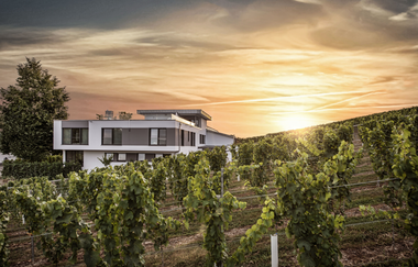Weingut Eberbach-Schäfer | Lauffen am Neckar | HeilbronnerLand | © Weingut Eberbach-Schäfer