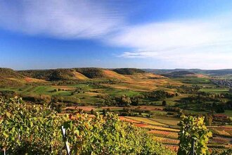 Blick vom Scheuerberg über das Weinsberger Tal | Weinsüden Weinort Erlenbach | HeilbronnerLand | © Tourismus im Weinsberger Tal