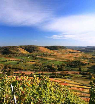 Blick vom Scheuerberg über das Weinsberger Tal | Weinsüden Weinort Erlenbach | HeilbronnerLand | © Tourismus im Weinsberger Tal