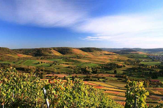 Blick vom Scheuerberg über das Weinsberger Tal | Weinsüden Weinort Erlenbach | HeilbronnerLand | © Tourismus im Weinsberger Tal