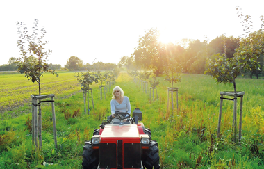 Quittenprojekt Bergstraße | © Quittenprojekt Bergstraße