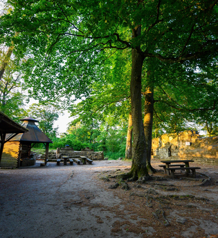 Rast- & Grillplatz Burgruine Blankenhorn | Güglingen | HeilbronnerLand | © Touristikgemeinschaft HeilbronnerLand