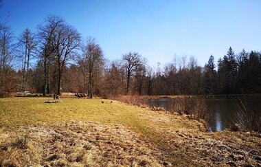 Bänke am See | © Hohenlohe + Schwäbisch Hall Tourismus e. V.