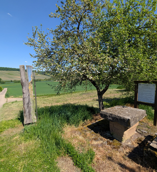 Rastplatz am Fleiner Rundwanderweg im Deinenbachtal | © Touristikgemeinschaft HeilbronnerLand