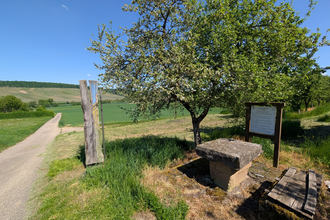 Rastplatz am Fleiner Rundwanderweg im Deinenbachtal | © Touristikgemeinschaft HeilbronnerLand