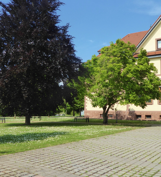 Rathaus Mauer | © Landratsamt Rhein-Neckar-Kreis