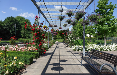 Rathauspark Nordheim | Blumen im Park | © Neckar-Zaber-Tourismus e.V.
