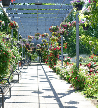 Rathauspark | Nordheim | HeilbronnerLand | © Gemeinde Nordheim