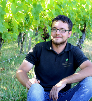 Ferdinand Fröscher sitzt zwischen grünen Weinreben | © Touristikgemeinschaft Hohenlohe e. v.  | Rebenhof Fröscher