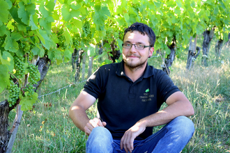 Ferdinand Fröscher sitzt zwischen grünen Weinreben | © Touristikgemeinschaft Hohenlohe e. v.  | Rebenhof Fröscher