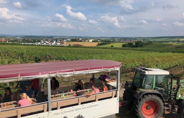 Planwagen Zabergäu-Bummler vor Weinbergen | © Neckar-Zaber-Tourismus e.V.