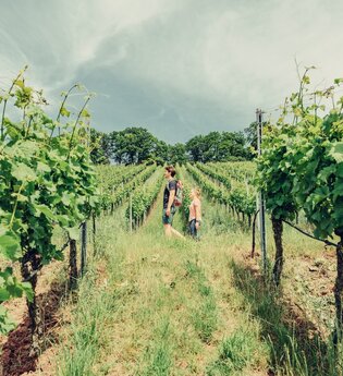 Wanderer am Weinberg Wartkopf | © Touristikgemeinschaft HeilbronnerLand e.V.