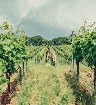 Wanderer am Weinberg Wartkopf | © Touristikgemeinschaft HeilbronnerLand e.V.