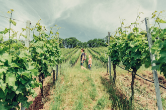 Wanderer am Weinberg Wartkopf | © Touristikgemeinschaft HeilbronnerLand e.V.