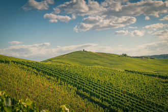 Weinberglandschaft rund um Flein | © Touristikgemeinschaft HeilbronnerLand e.V.