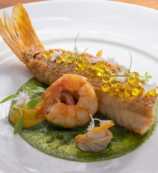 Fischbericht Jagstmühle Heimhausen | © Touristikgemeinschaft Hohenlohe e. V. | Jagsttal Beteiligung GmbH & Co. KG