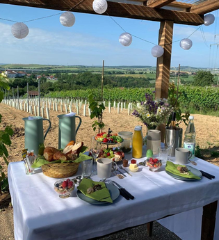 Gedeckter Frühstücktisch im Weinberg