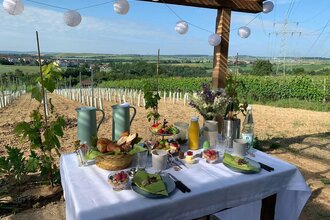 Gedeckter Frühstücktisch im Weinberg