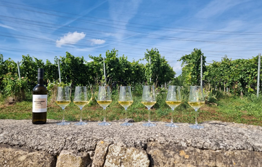 Weintoueren  mit Verkostung Gläser mit Wein