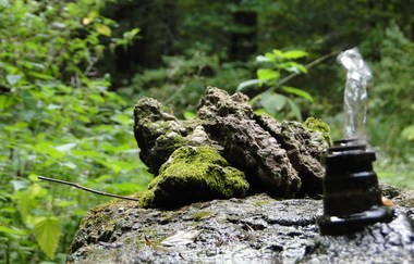 Der Brunnenweg | naturkundliche Führung in Pfaffenhofen mit Förster a.D. Robert Böckle