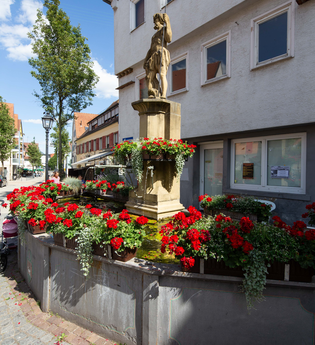 Röhrbrunnn Brackenheim | © Stadt Brackenheim | CP