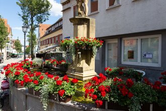 Röhrbrunnn Brackenheim | © Stadt Brackenheim | CP