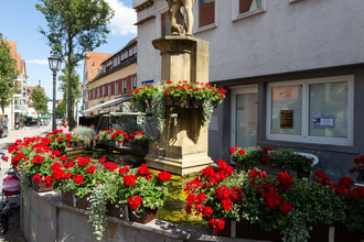 Röhrbrunnn Brackenheim | © Stadt Brackenheim | CP