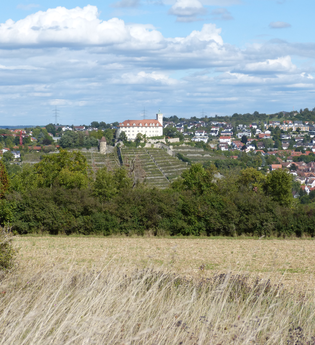 Roi Igel | © Land der 1000 Hügel - Kraichgau-Stromberg