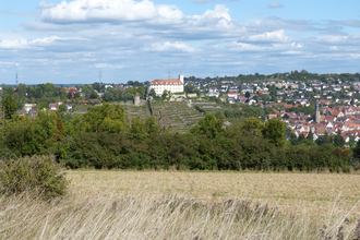 Roi Igel | © Land der 1000 Hügel - Kraichgau-Stromberg
