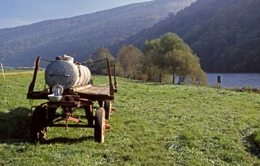 Romantisches Neckartal | © Landratsamt Rhein-Neckar-Kreis I Dorothea Burkhart