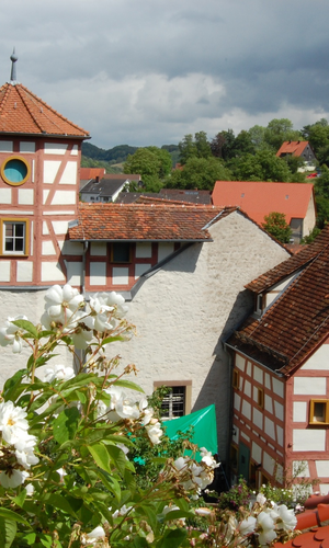 Blick auf das im Fachwerkstil errichtete Romschlössle. Im Vordergrund sind Rosen des dazugehörigen Rosengartens zu sehen. | © Tourist-Information Creglingen