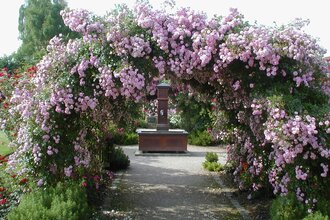 Rosengarten | © Stadt Oberderdingen
