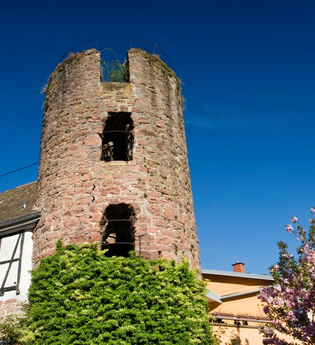 Rosenturm Eberbach | © Stadt Eberbach/Andreas Held