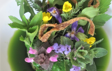 Roter Mohn Unterregenbach | © Roter Mohn