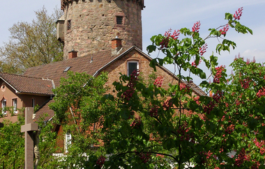 Roter Turm mit einem blühenden Busch im Vordergrund.