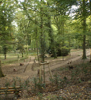 Ruhehain unter den Eichen | © Gemeinde Reichertshausen