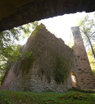 Die Ruine Stolzeneck liegt auf der Neckarsteigetappe Eberbach-Neunkirchen | © Touristikgemeinschaft Odenwald e.V.