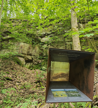Geo- & Naturpfad im Schilfsandsteinbruch Heilbronn | HeilbronnerLand | © Touristikgemeinschaft HeilbronnerLand