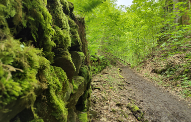 Geo- & Naturpfad im Schilfsandsteinbruch Heilbronn | HeilbronnerLand | © Touristikgemeinschaft HeilbronnerLand