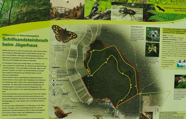 Geo- & Naturpfad im Schilfsandsteinbruch Heilbronn | HeilbronnerLand | © Touristikgemeinschaft HeilbronnerLand