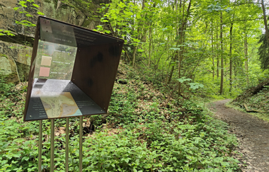 Geo- & Naturpfad im Schilfsandsteinbruch Heilbronn | HeilbronnerLand | © Touristikgemeinschaft HeilbronnerLand