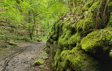Geo- & Naturpfad im Schilfsandsteinbruch Heilbronn | HeilbronnerLand | © Touristikgemeinschaft HeilbronnerLand